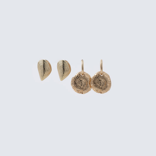 Gold Textured Shell Stud & Ammonite Drop Earring Set